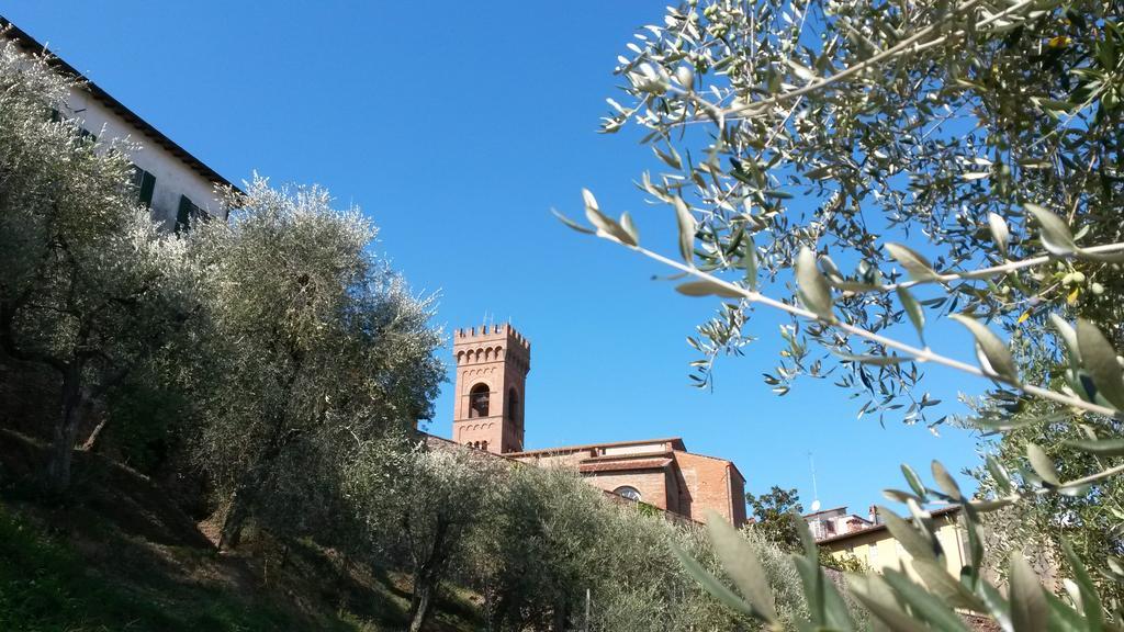 לינה וארוחת בוקר מונטה קארלו Antica Casa Dei Rassicurati מראה חיצוני תמונה